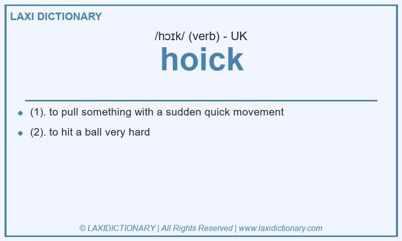 Definition hoick in British English