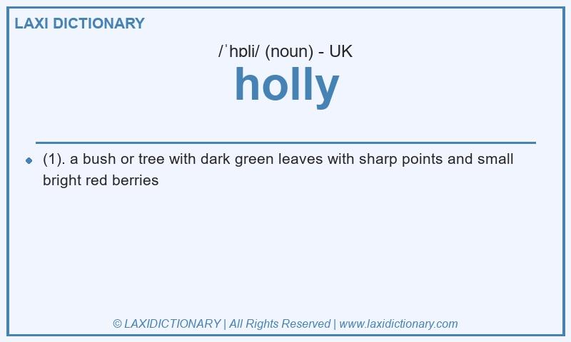 Definition holly in British English