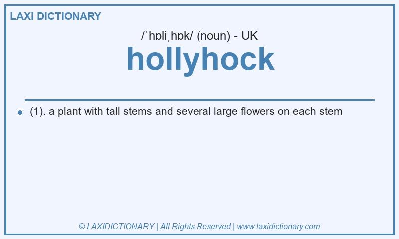Definition hollyhock in British English