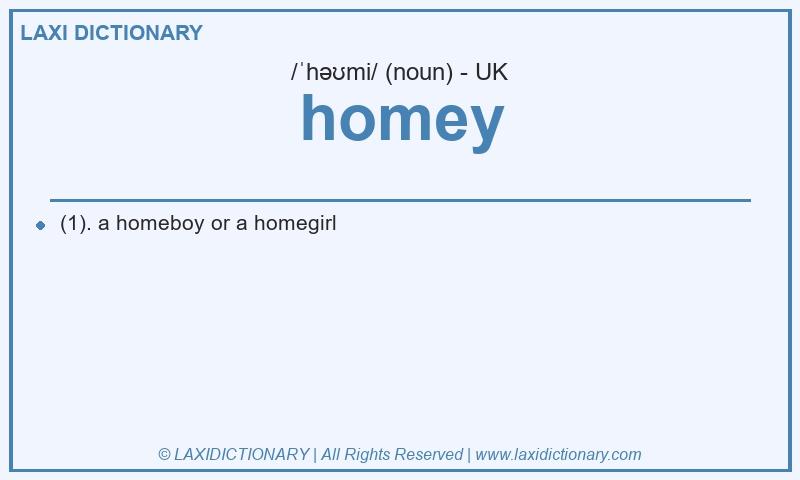Definition homey in British English