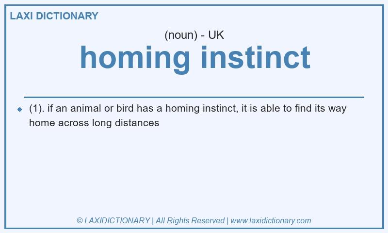 Definition homing instinct in British English