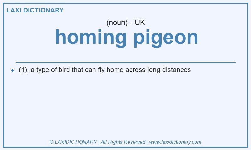 Definition homing pigeon in British English