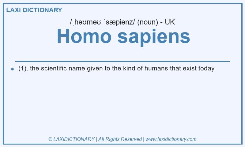 Definition Homo sapiens in British English