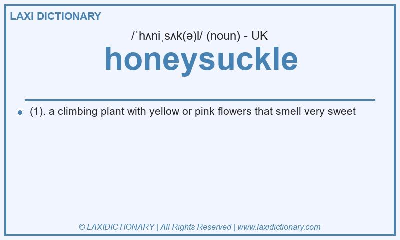 Definition honeysuckle in British English
