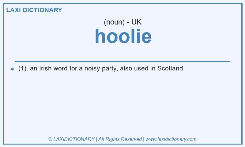 Definition hoolie in British English