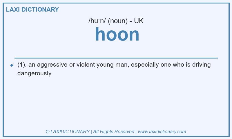 Definition hoon in British English