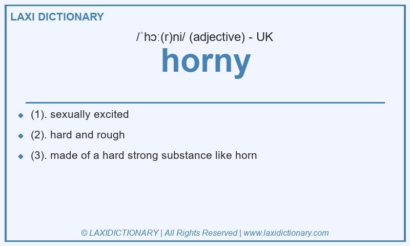 Definition horny in British English