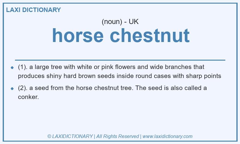 Definition horse chestnut in British English