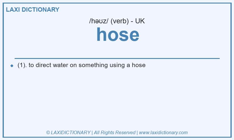 Definition hose in British English