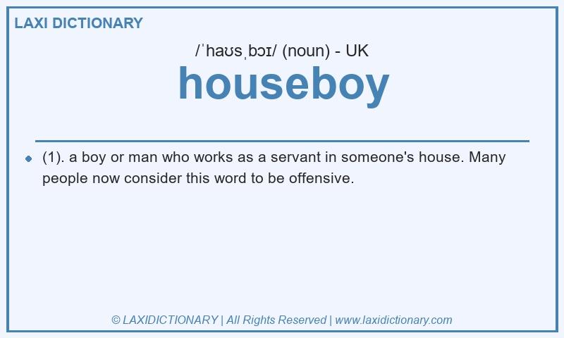 Definition houseboy in British English
