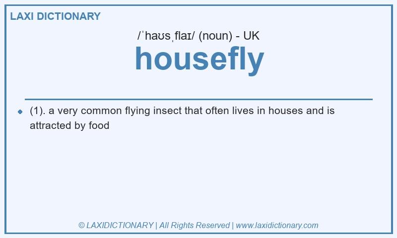 Definition housefly in British English