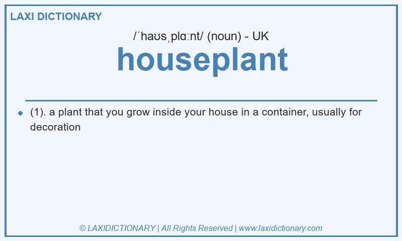 Definition houseplant in British English