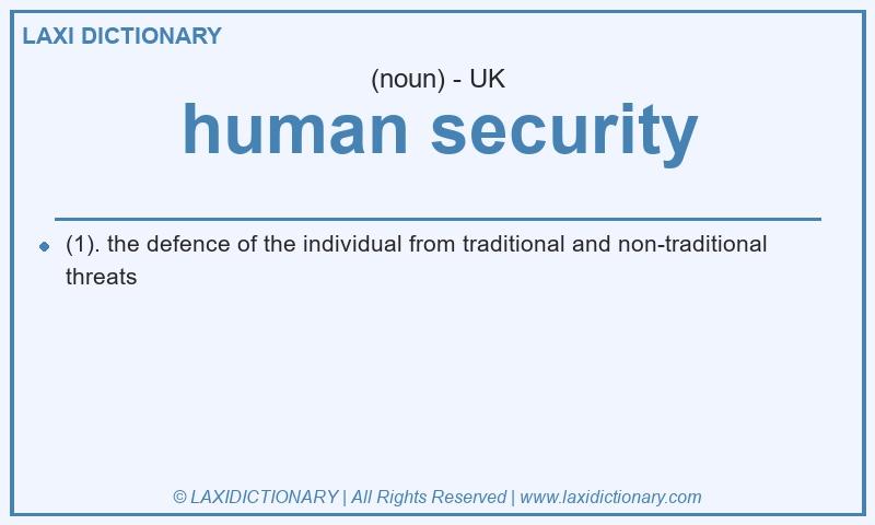 Definition human security in British English