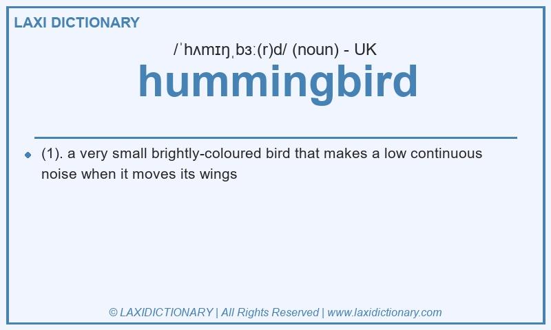 Definition hummingbird in British English