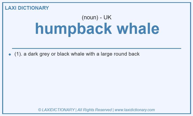 Definition humpback whale in British English