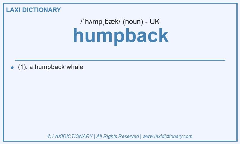 Definition humpback in British English