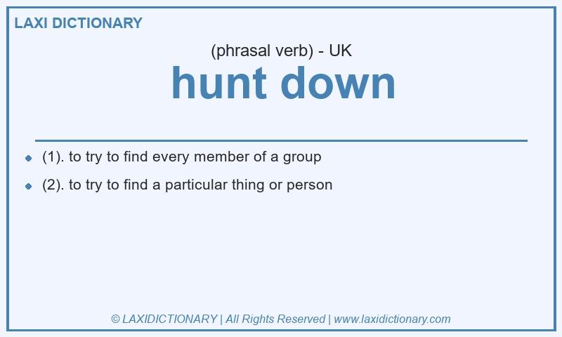 Definition hunt down in British English