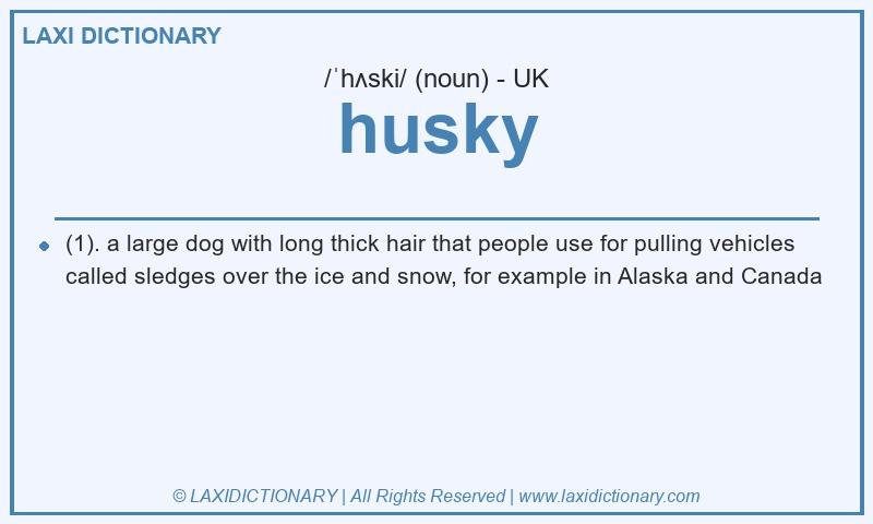 Definition husky in British English
