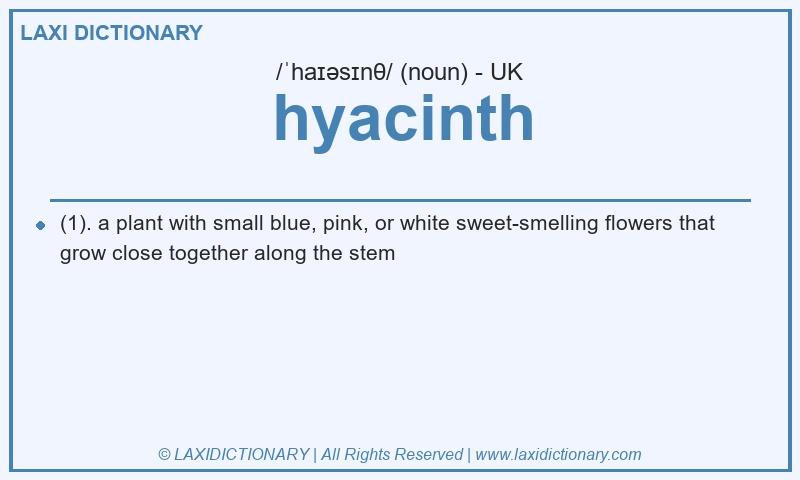 Definition hyacinth in British English