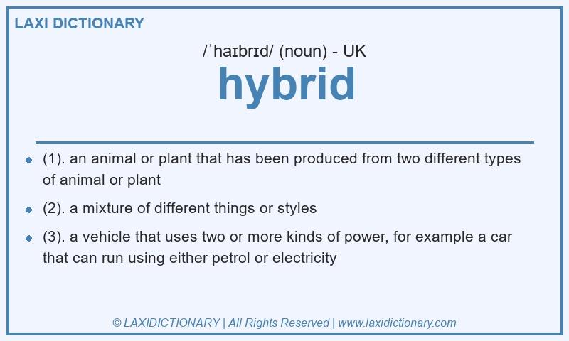 Definition hybrid in British English