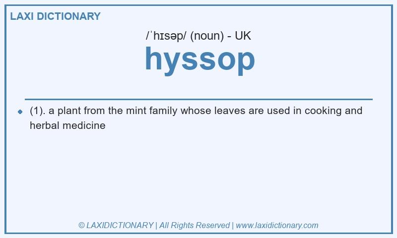 Definition hyssop in British English