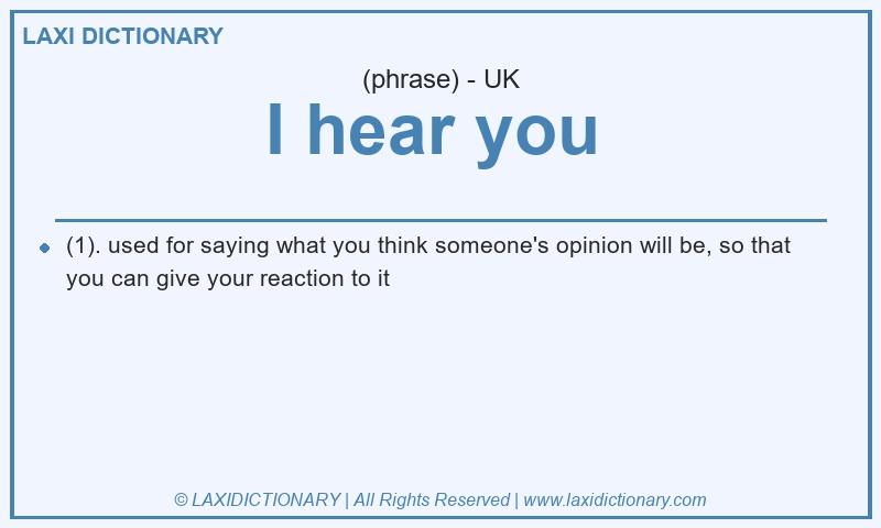 Definition I hear you  in British English