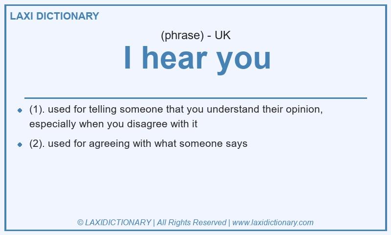 Definition I hear you in British English