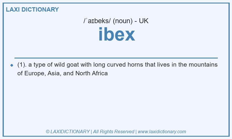 Definition ibex in British English