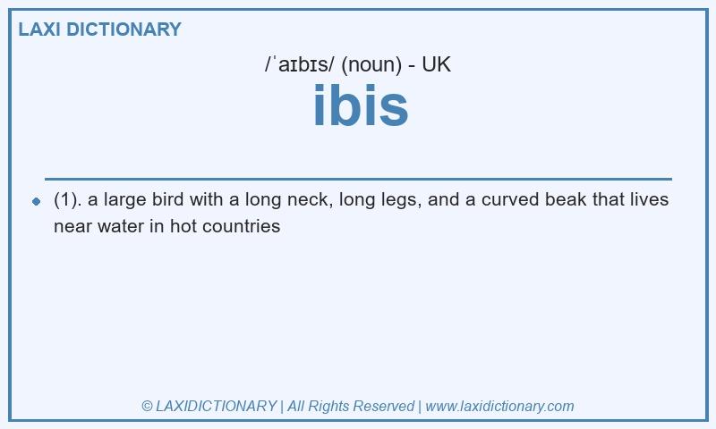 Definition ibis in British English