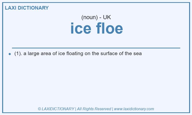 Definition ice floe in British English
