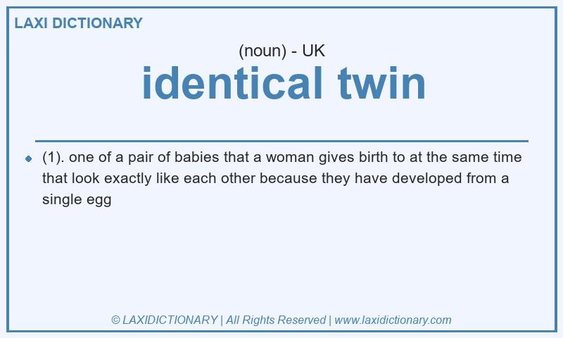 Definition identical twin in British English
