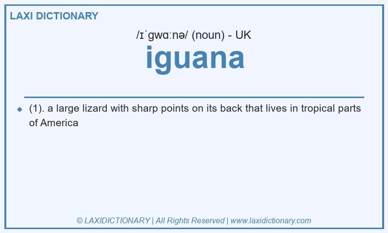 Definition iguana in British English