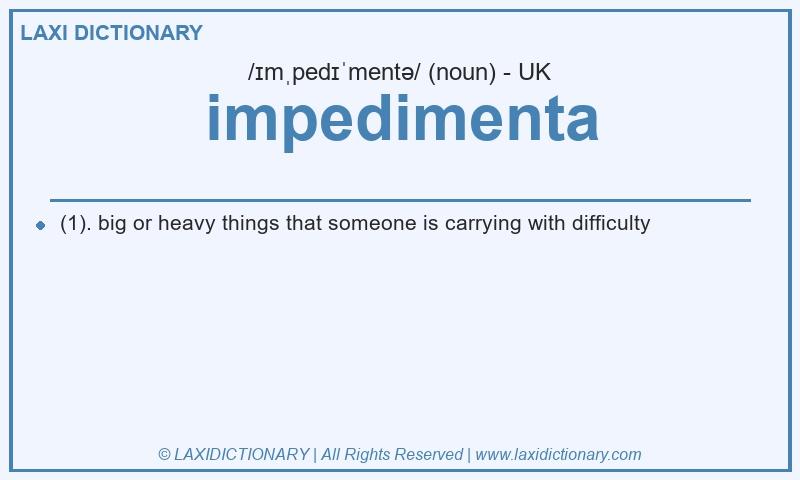Definition impedimenta in British English