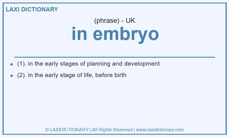 Definition in embryo in British English