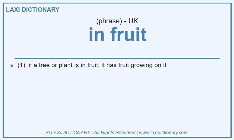Definition in fruit in British English
