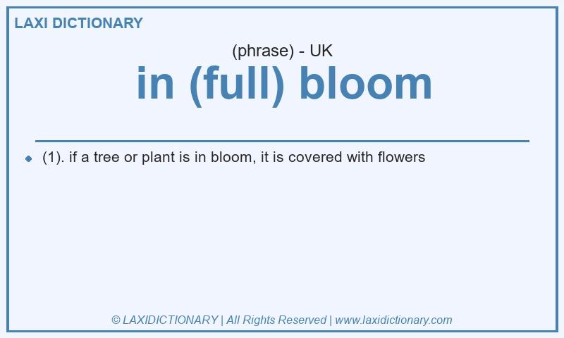 Definition in (full) bloom in British English