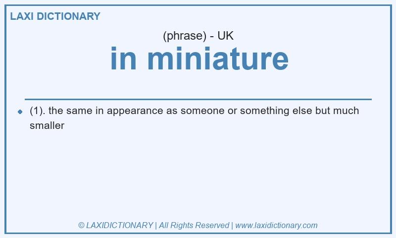 Definition in miniature in British English