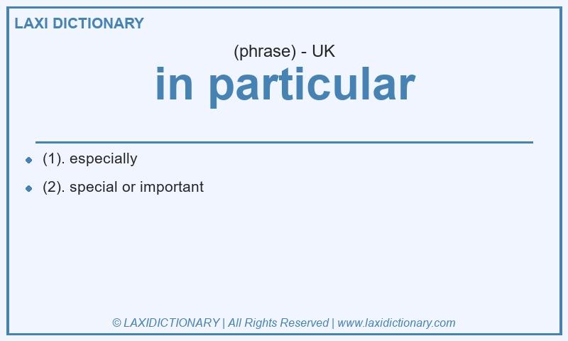 Definition in particular in British English