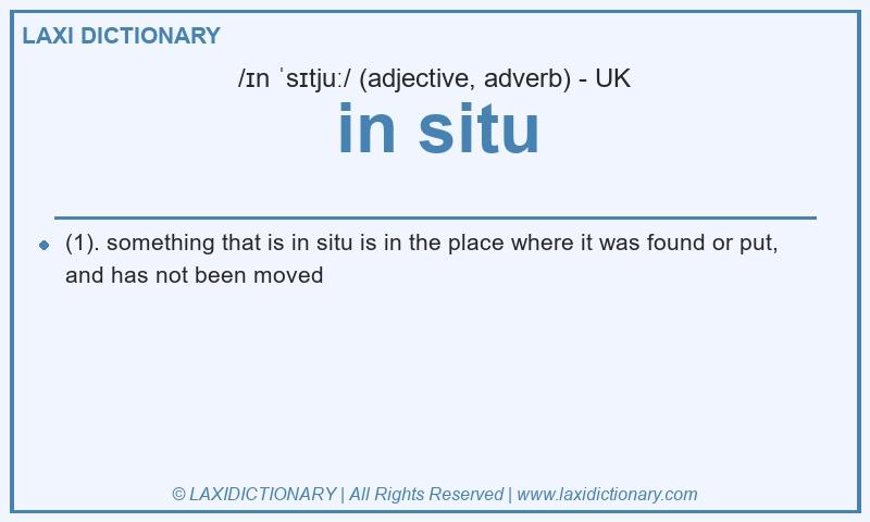 Definition in situ in British English