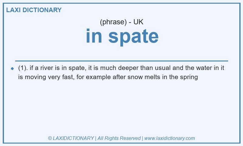 Definition in spate in British English