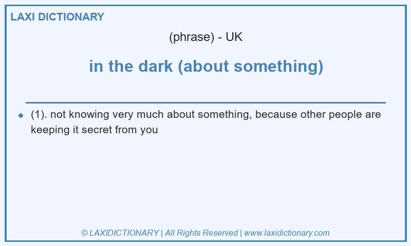 Definition in the dark (about something) in British English