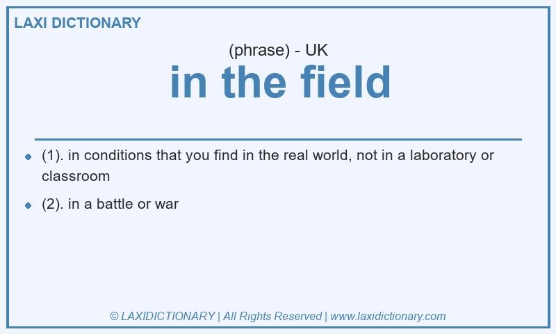 Definition in the field in British English