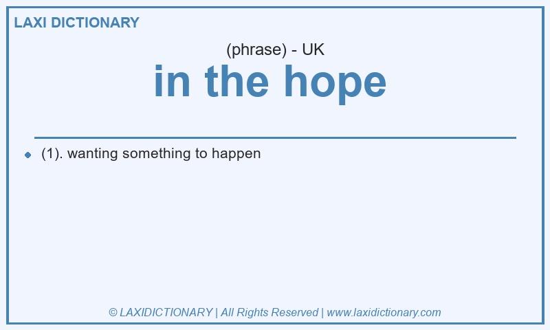 Definition in the hope  in British English