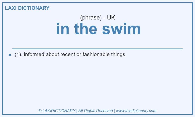 Definition in the swim in British English