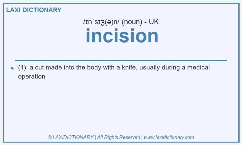 Definition incision in British English