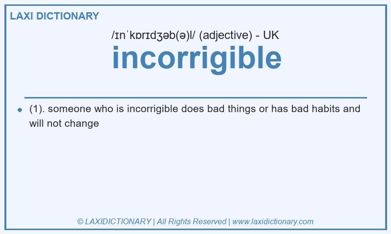 Definition incorrigible in British English