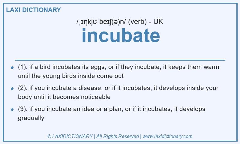Definition incubate in British English