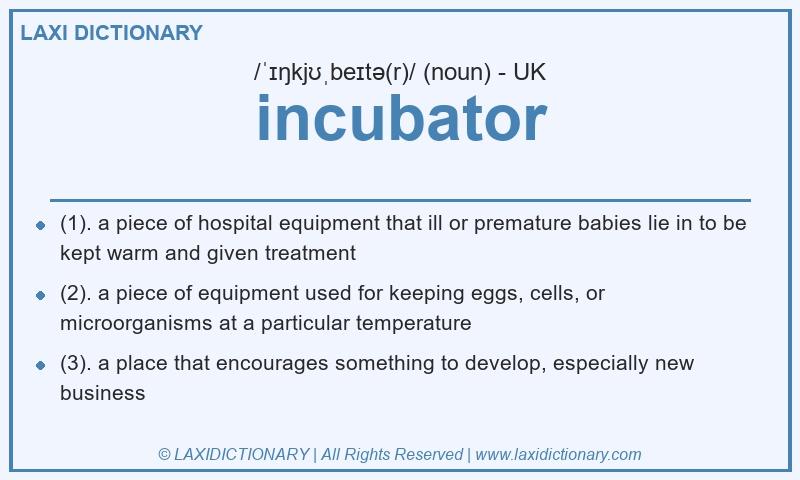 Definition incubator in British English
