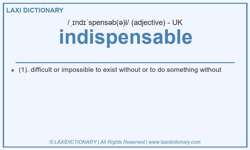 Definition indispensable in British English
