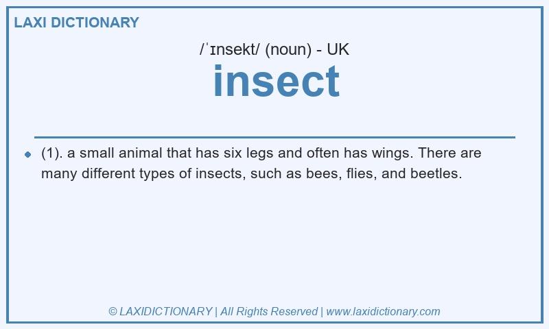 Definition insect in British English